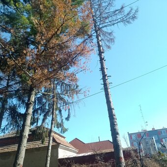 Hodinový manželia na vsetko radi pomáhame ľuďom - 5