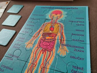 Puzzle Moje telo - 5