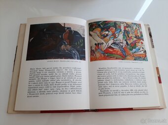 STRUČNÉ DEJINY MALIARSTVA od Cézanna po Picassa - 5