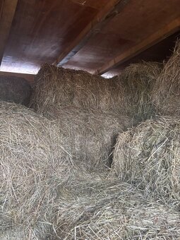 Predám balíkovane seno - 5