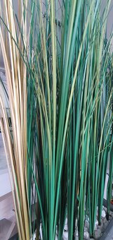 Umelá tráva-zástena - 5