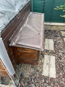 predam sliepky brown nick - 5