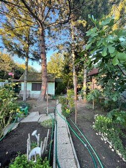 Záhrada Zúgov Nové Zámky - 5