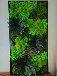 Machový obraz rastliny - 5