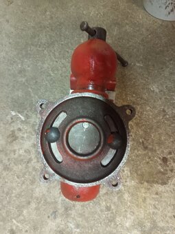 Zverák York 125 - 5