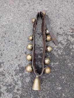 Predám zvonce rolnicky - 5