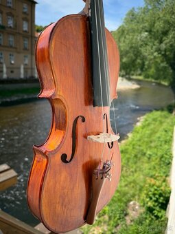 Stará Viola 40 cm - 5