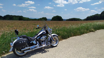 Harley-Davidson FLSTN Softail-Delux - 5