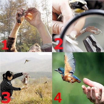 Síť k odchytu ptáků 10metrů x 3metry - 5