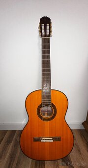 Gitara - 5