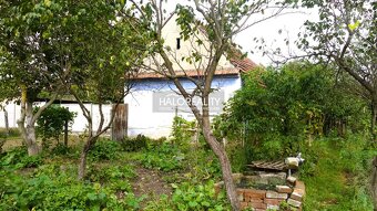 HALO reality - Predaj, rodinný dom Borský Mikuláš - EXKLUZÍV - 5