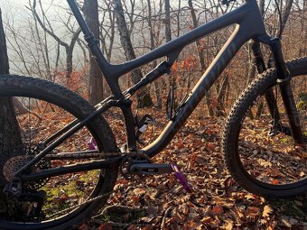 Specialized Epic 29 karbon - 5