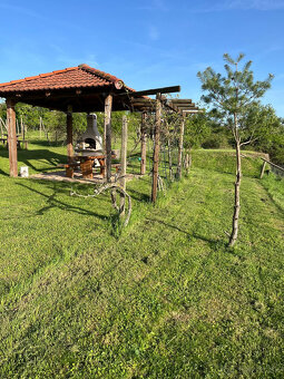 Jedinečná Vinná pivnica s viničom Lozorno - 5