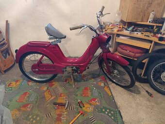 Jawetta 551 - 5