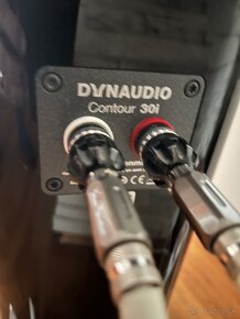 Dynaudio Contour 30i - 5