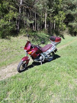 Aprilia pegaso 650 - 5