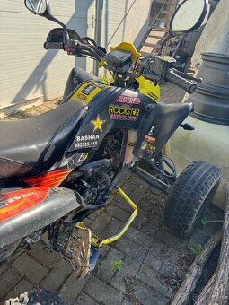 Bashan 250 - 5
