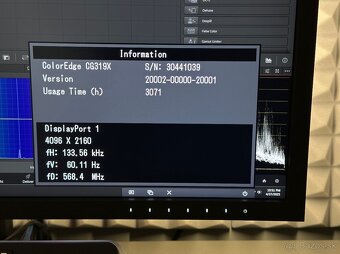 EIZO CG319X - 5