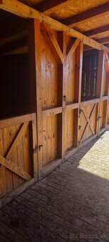 Ustajnenie koní. - 5