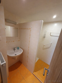 Ponuka - prenajom byt 30m2 - 5