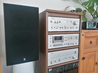 Yamaha Natural Sound - 5