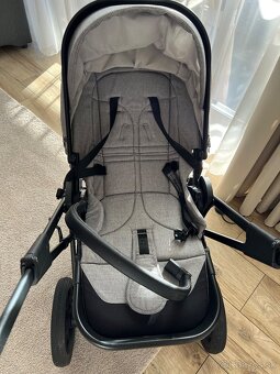 Cavoe Axo - 5