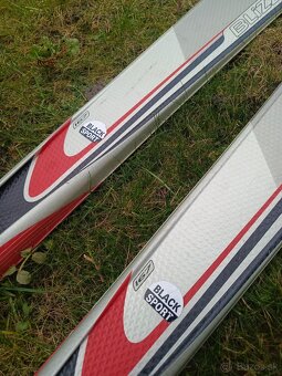 Lyže s lyžiarkami - 5