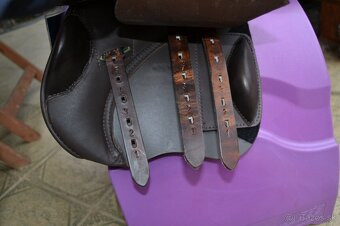 Kentaur Young Jumper - 5