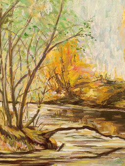 Obraz partie u Vydry Šumava, olej 85x64 - 5