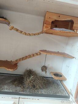 Činčila s klietkou - 5