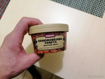 Predám krabičky nádoby lacno - papierové s PE fóliou zvnútra - 5