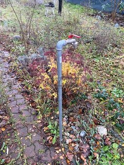 Záhrada s murovanou chatou pri Kalnom jazere – Rača - 5