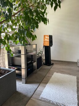 Aurum Cantus V2M - 5