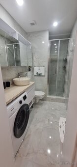 1 izbovy byt na prenajom - 5