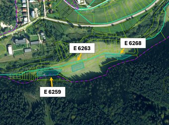 Liptovské Revúce 7.964 m2 LESY a POĽNOHOSPODÁRSKA pôda - 5