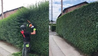 Kompletná realizácia a údržba záhrad – najvýhodnejšie ceny - 5