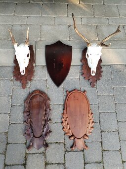 Podložky pod trofeje danielov - 5