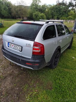 Octavia Scaut - 5