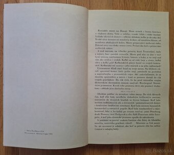 Dunajska kralovna - 5