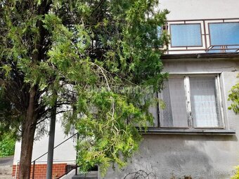 4 izbový dom Dvory nad Žitavou - 5