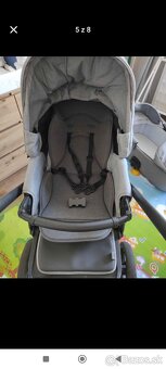 Roan coss - 5