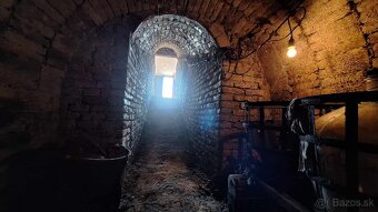 PREDAJ - poschodová chata s pivnicou a vinicou - 5