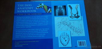 The Dog Anatomy Workbook - 5