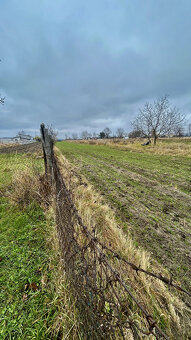 Dom a pozemok 2421m2 Investičná ponuka 95€/m2 pri Malackách - 5