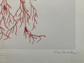 Eva Koťátková - Replanted - 5