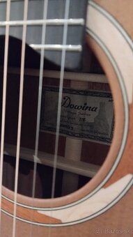 Dowina Sauvignon DE - Fishman el. - 5