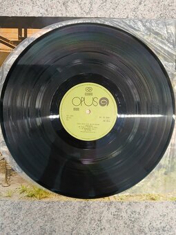 Collegium Musicum – Live - 5