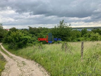 Neobrábaný vinohrad Svätý Jur, smerom na Bratislavu, lokalit - 5