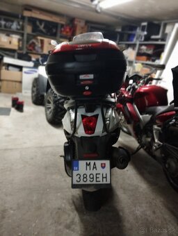 Peugeot Geo RS 250 - 5