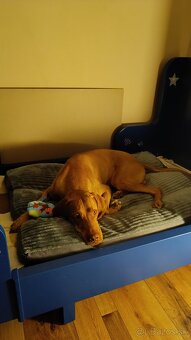 Trocha netradične ale... posteľ ako polech - 5